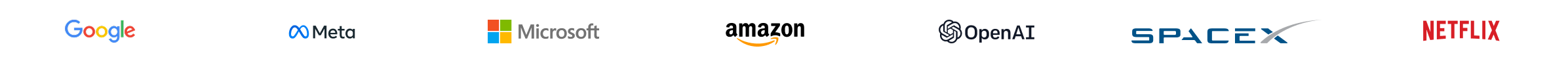 Trusted by professionals from Google, Meta, Microsoft, Amazon, OpenAI, SpaceX, Netflix
